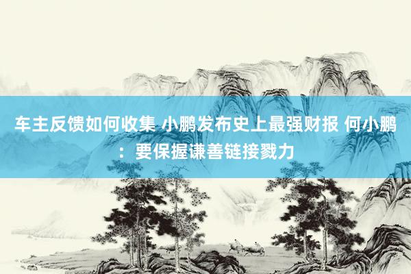 车主反馈如何收集 小鹏发布史上最强财报 何小鹏：要保握谦善链接戮力