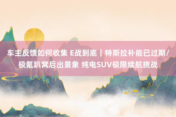 车主反馈如何收集 E战到底｜特斯拉补能已过期/极氪趴窝后出景象 纯电SUV极限续航挑战