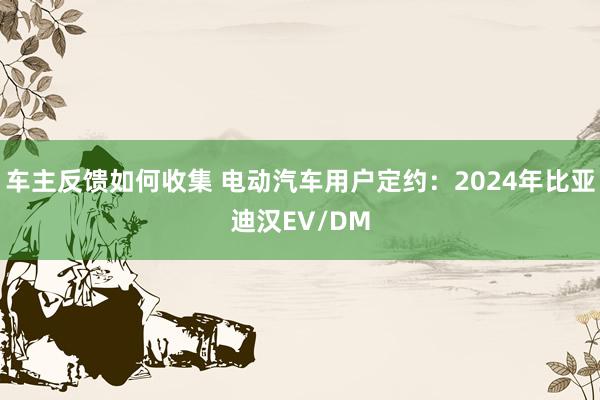 车主反馈如何收集 电动汽车用户定约：2024年比亚迪汉EV/DM