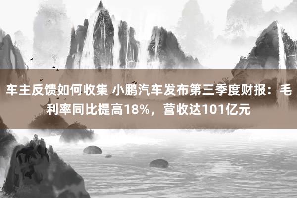 车主反馈如何收集 小鹏汽车发布第三季度财报：毛利率同比提高18%，营收达101亿元