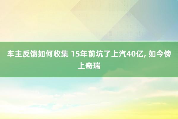 车主反馈如何收集 15年前坑了上汽40亿, 如今傍上奇瑞