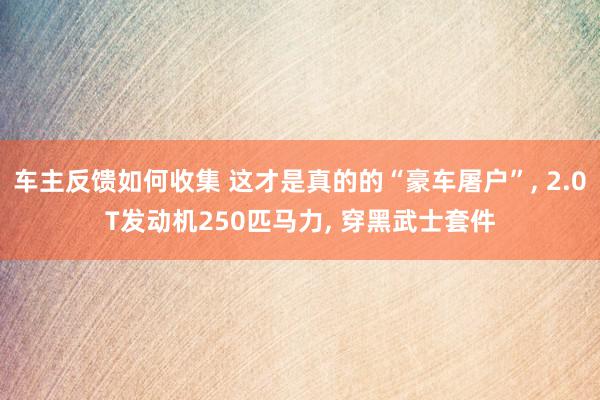 车主反馈如何收集 这才是真的的“豪车屠户”, 2.0T发动机250匹马力, 穿黑武士套件