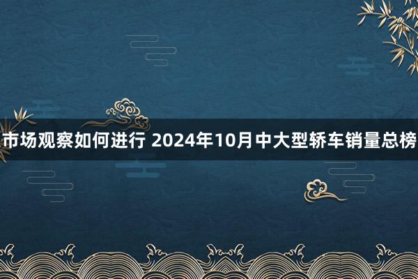 市场观察如何进行 2024年10月中大型轿车销量总榜