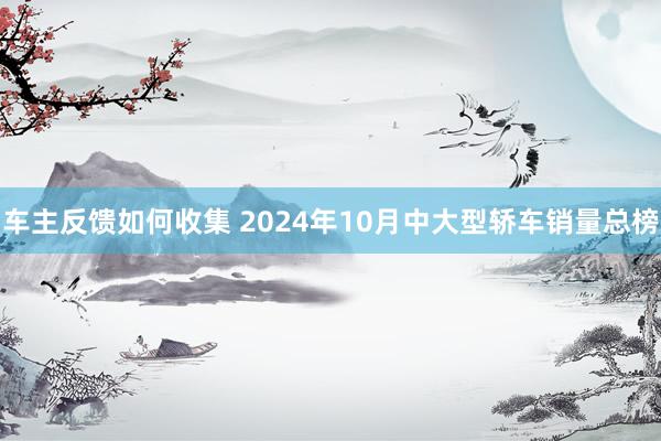 车主反馈如何收集 2024年10月中大型轿车销量总榜