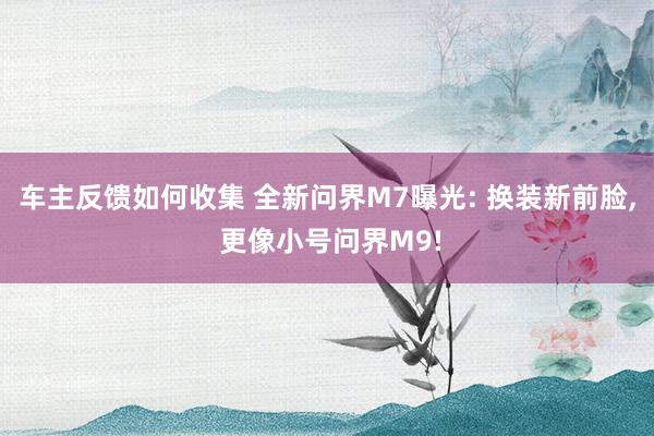 车主反馈如何收集 全新问界M7曝光: 换装新前脸, 更像小号问界M9!