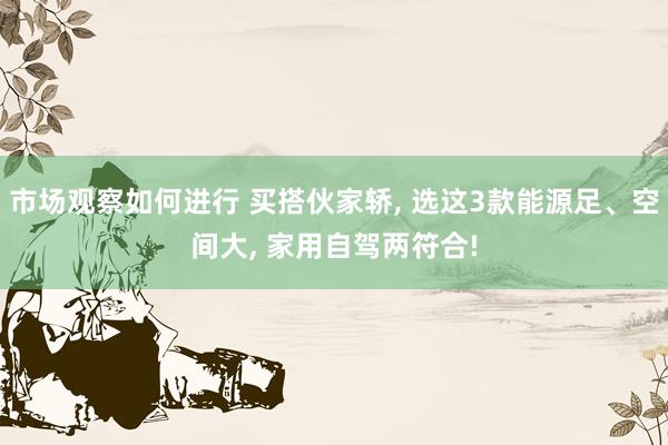 市场观察如何进行 买搭伙家轿, 选这3款能源足、空间大, 家用自驾两符合!