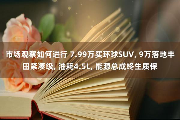 市场观察如何进行 7.99万买环球SUV, 9万落地丰田紧凑级, 油耗4.5L, 能源总成终生质保