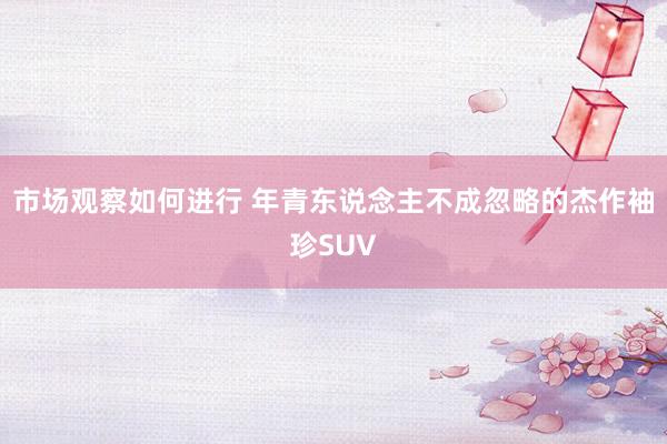 市场观察如何进行 年青东说念主不成忽略的杰作袖珍SUV