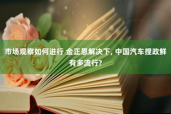 市场观察如何进行 金正恩解决下, 中国汽车捏政鲜有多流行?