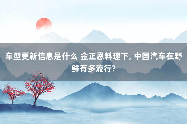 车型更新信息是什么 金正恩料理下, 中国汽车在野鲜有多流行?