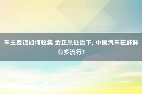 车主反馈如何收集 金正恩处治下, 中国汽车在野鲜有多流行?