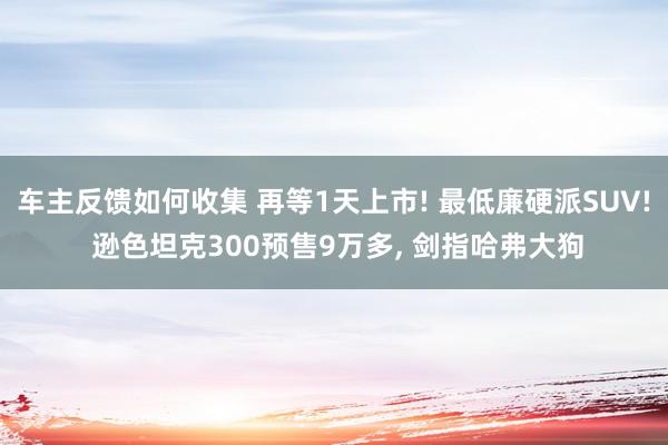 车主反馈如何收集 再等1天上市! 最低廉硬派SUV! 逊色坦克300预售9万多, 剑指哈弗大狗