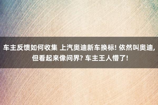 车主反馈如何收集 上汽奥迪新车换标! 依然叫奥迪, 但看起来像问界? 车主王人懵了!