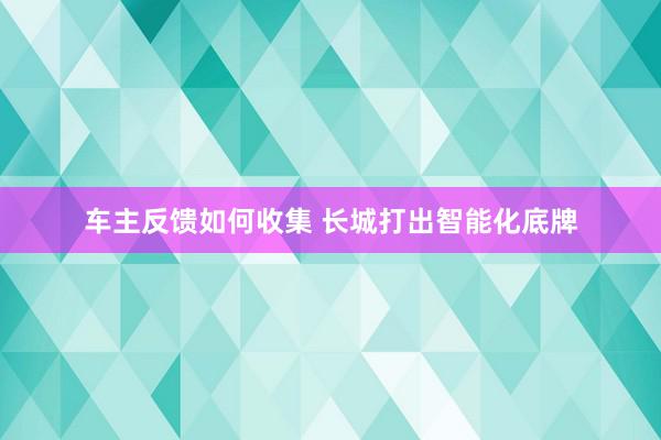 车主反馈如何收集 长城打出智能化底牌