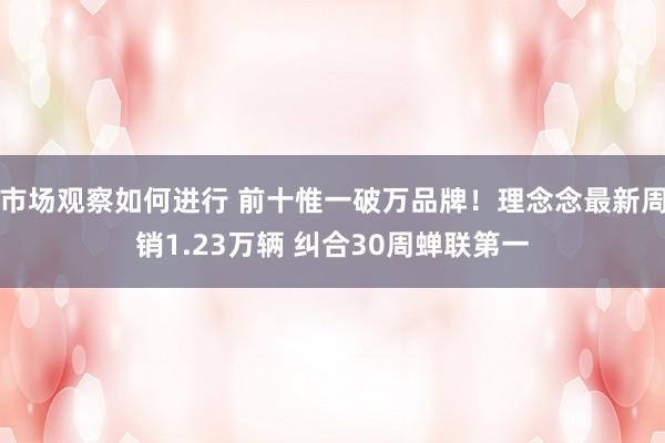 市场观察如何进行 前十惟一破万品牌！理念念最新周销1.23万辆 纠合30周蝉联第一