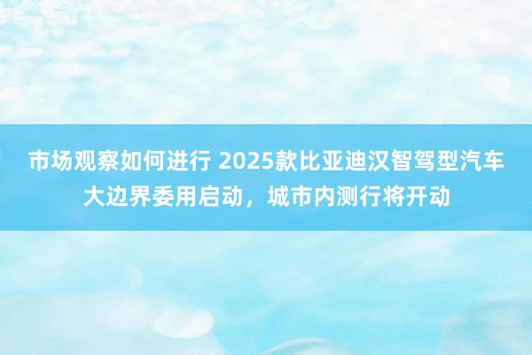 市场观察如何进行 2025款比亚迪汉智驾型汽车大边界委用启动，城市内测行将开动