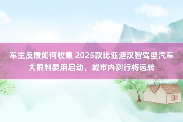 车主反馈如何收集 2025款比亚迪汉智驾型汽车大限制委用启动，城市内测行将运转