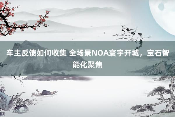 车主反馈如何收集 全场景NOA寰宇开城，宝石智能化聚焦