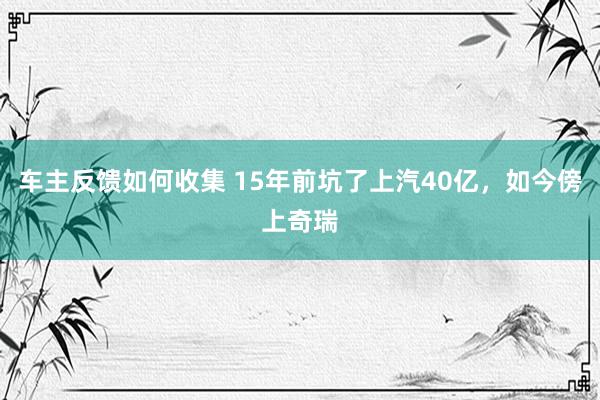 车主反馈如何收集 15年前坑了上汽40亿，如今傍上奇瑞