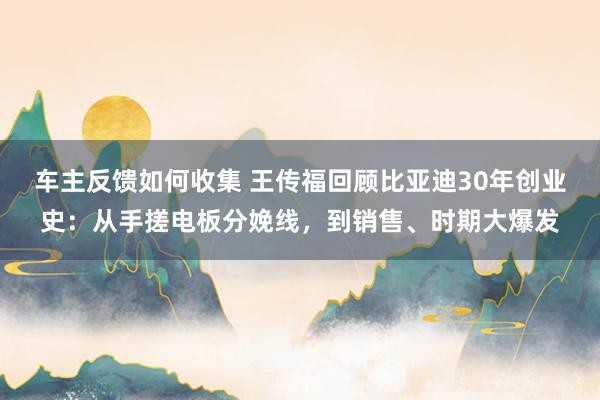 车主反馈如何收集 王传福回顾比亚迪30年创业史：从手搓电板分娩线，到销售、时期大爆发