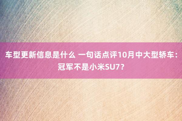 车型更新信息是什么 一句话点评10月中大型轿车：冠军不是小米SU7？