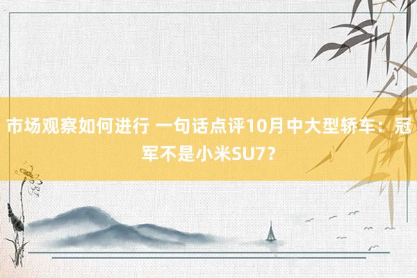 市场观察如何进行 一句话点评10月中大型轿车：冠军不是小米SU7？