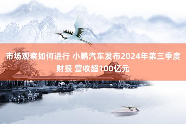 市场观察如何进行 小鹏汽车发布2024年第三季度财报 营收超100亿元