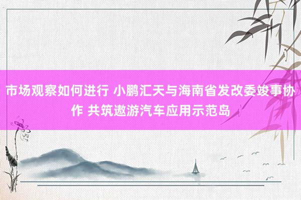 市场观察如何进行 小鹏汇天与海南省发改委竣事协作 共筑遨游汽车应用示范岛