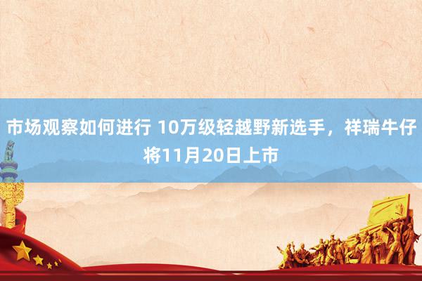 市场观察如何进行 10万级轻越野新选手，祥瑞牛仔将11月20日上市