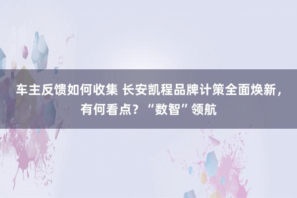 车主反馈如何收集 长安凯程品牌计策全面焕新，有何看点？“数智”领航