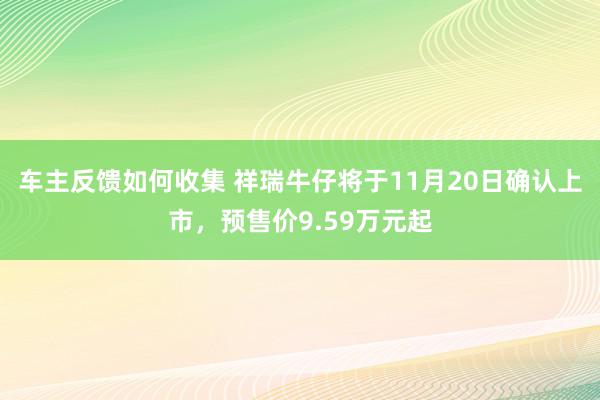 车主反馈如何收集 祥瑞牛仔将于11月20日确认上市，预售价9.59万元起