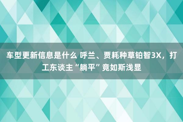 车型更新信息是什么 呼兰、贾耗种草铂智3X，打工东谈主“躺平”竟如斯浅显