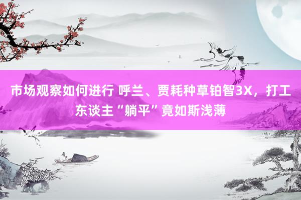 市场观察如何进行 呼兰、贾耗种草铂智3X，打工东谈主“躺平”竟如斯浅薄