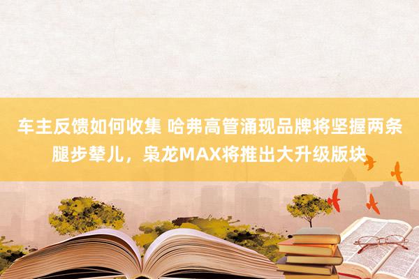 车主反馈如何收集 哈弗高管涌现品牌将坚握两条腿步辇儿，枭龙MAX将推出大升级版块