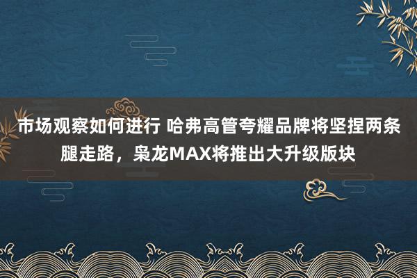 市场观察如何进行 哈弗高管夸耀品牌将坚捏两条腿走路，枭龙MAX将推出大升级版块